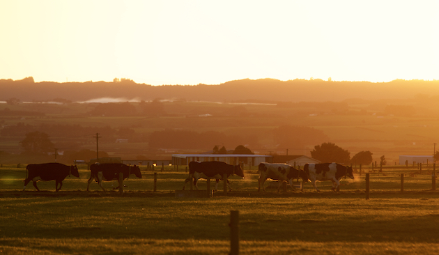 Farming