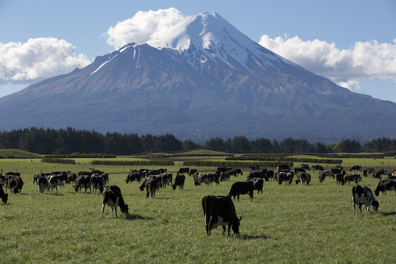 Farming